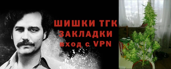 трава Балахна